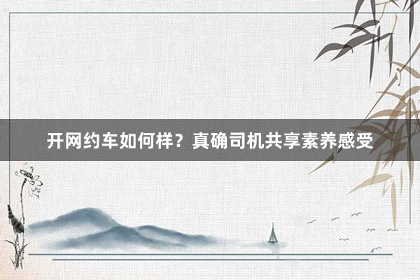 开网约车如何样？真确司机共享素养感受