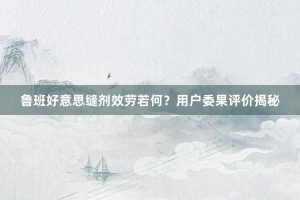鲁班好意思缝剂效劳若何？用户委果评价揭秘